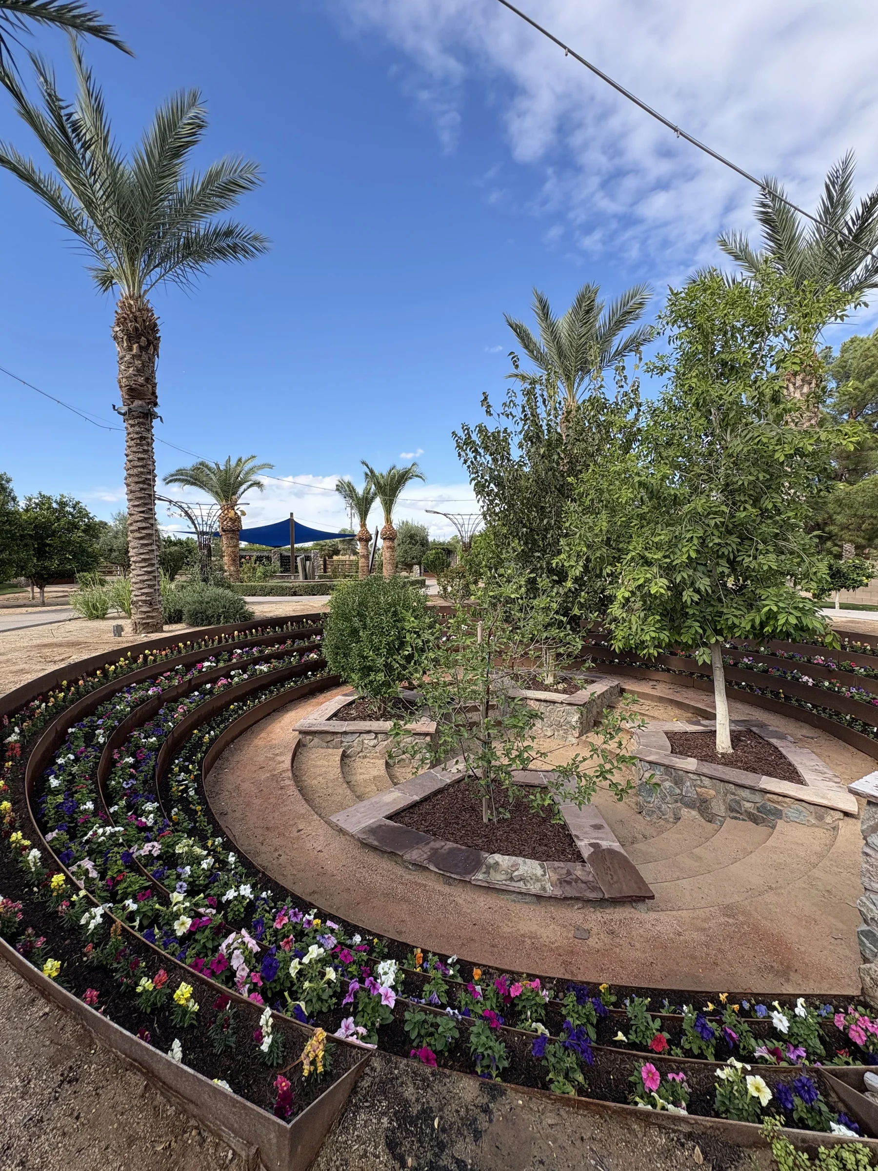 Curved terraces of seasonal flowers surrounding a stone path and mature palms